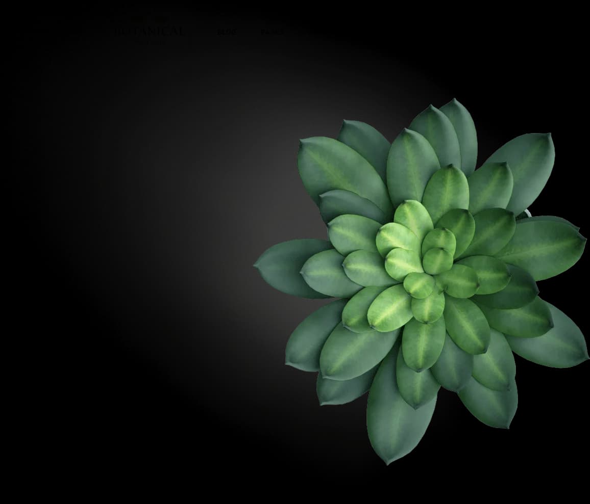 Plants enhancing an office interior