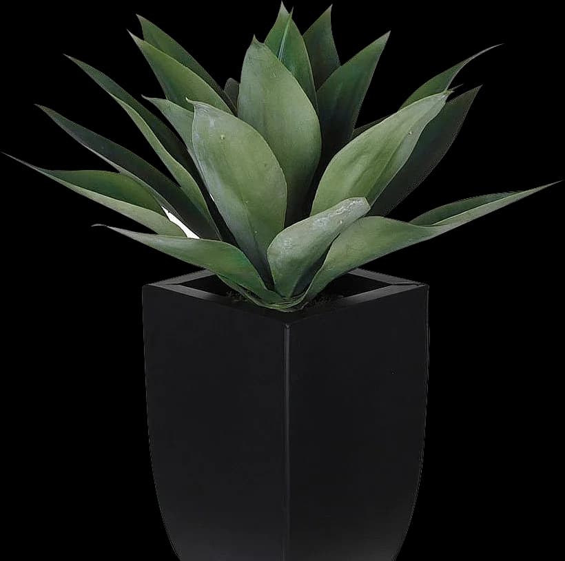 Sustainable indoor greenery in workspace