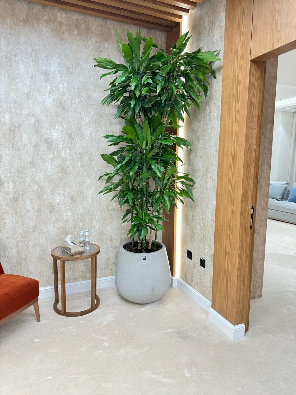 Indoor plant sample