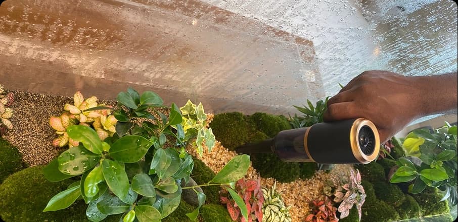 لقطة قريبة للطحالب والنباتات داخل التيراريوم