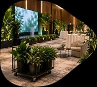 Planters arranged beside an event stage