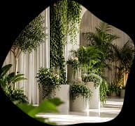 Tall plants styled along a venue walkway