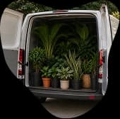 A van loaded with plants ready for delivery