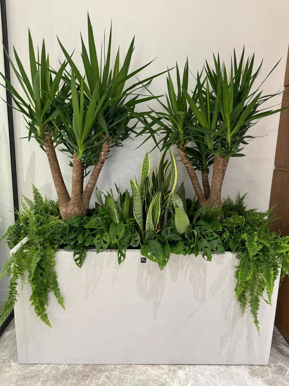 The Impact of Indoor Plants on Customer Experience in Commercial Areas The Impact of Indoor Plants on Customer Experience in Commercial Areas