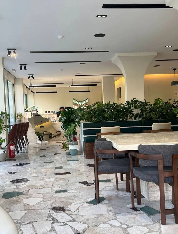 DE PLANTA — Project 15