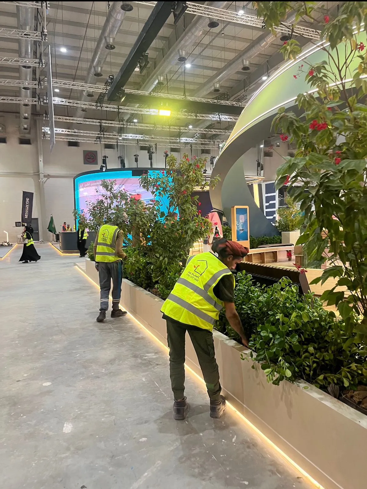 DE PLANTA — Project 17