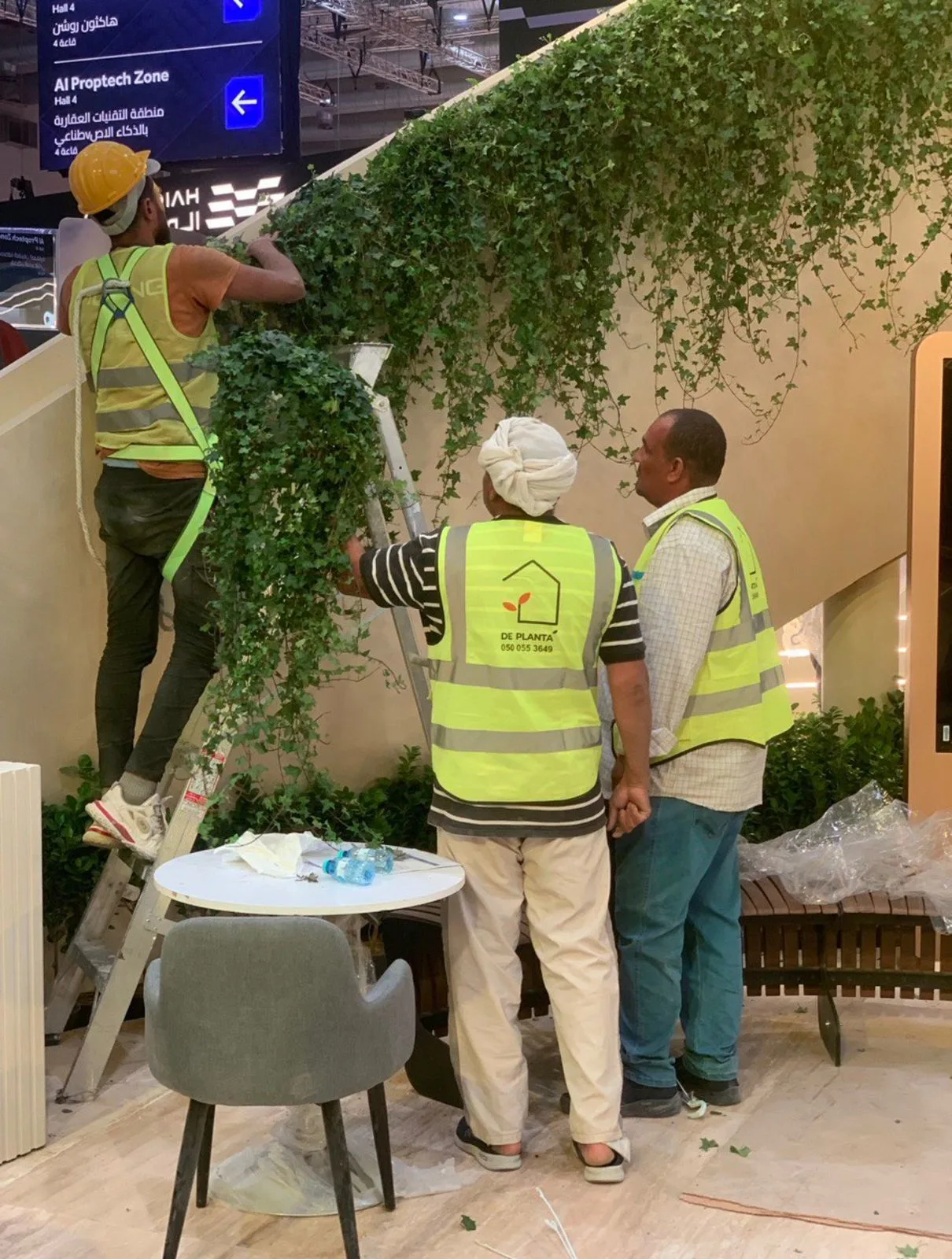 DE PLANTA — Project 18