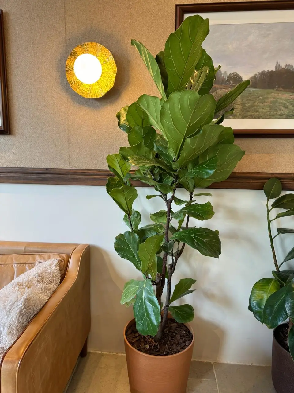 Plant styling sample 3