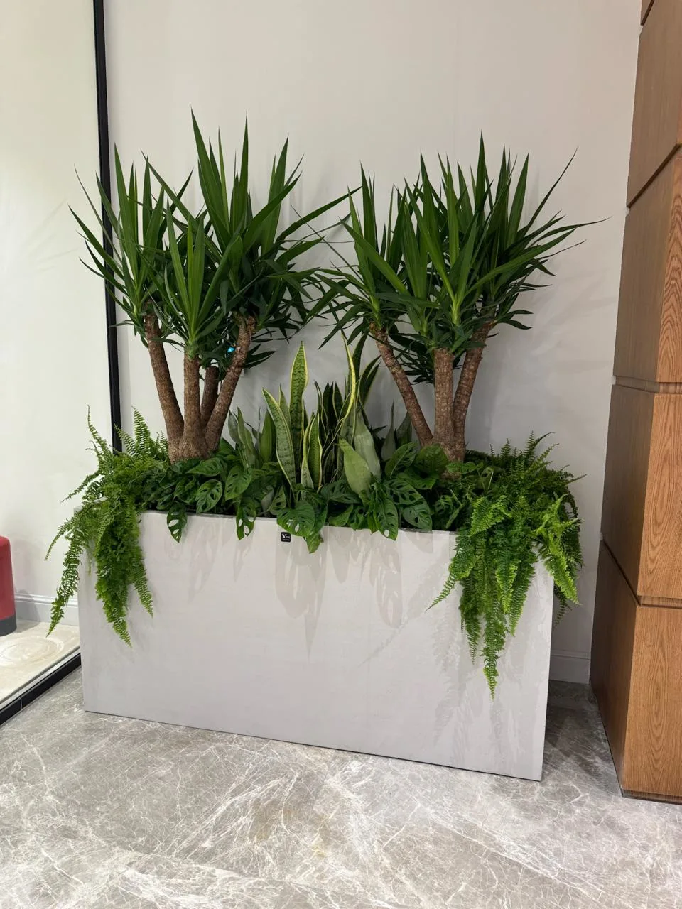 DE PLANTA — Project 21