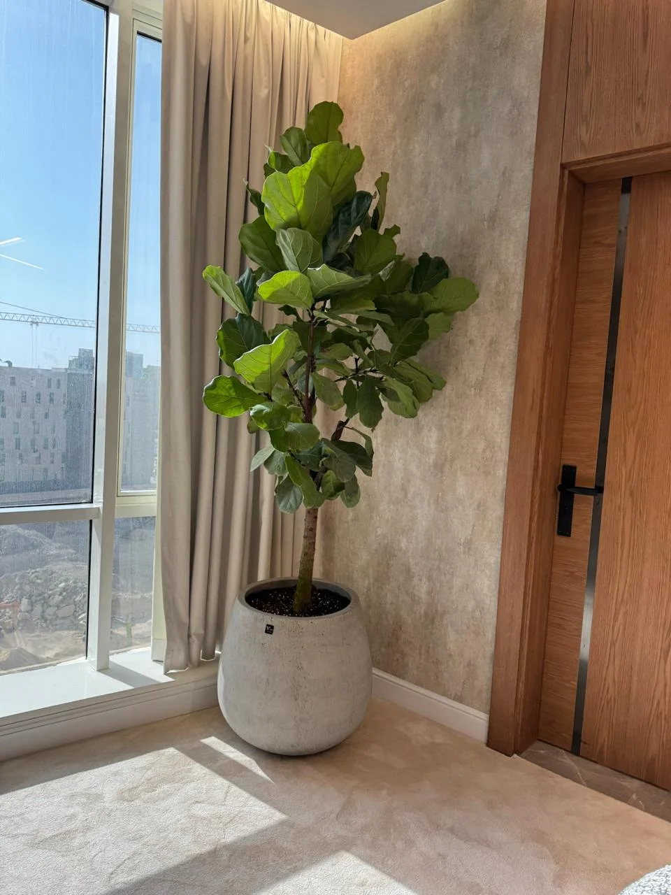 DE PLANTA — Project 26