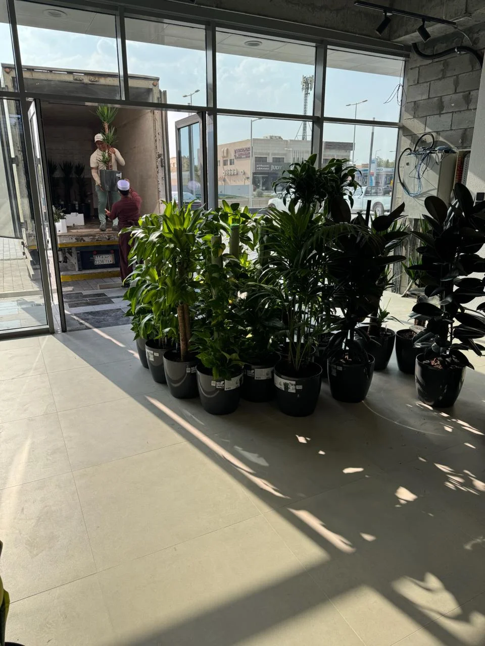 DE PLANTA — Project 27