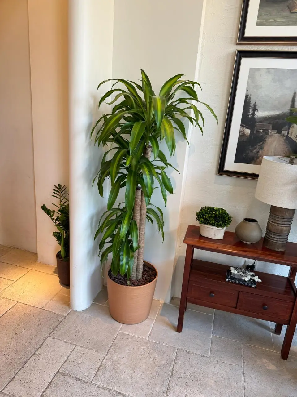 Plant styling sample 5