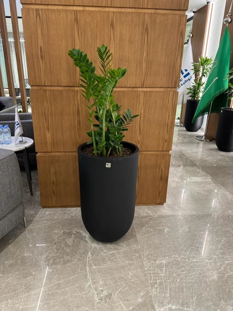 DE PLANTA — Project 31