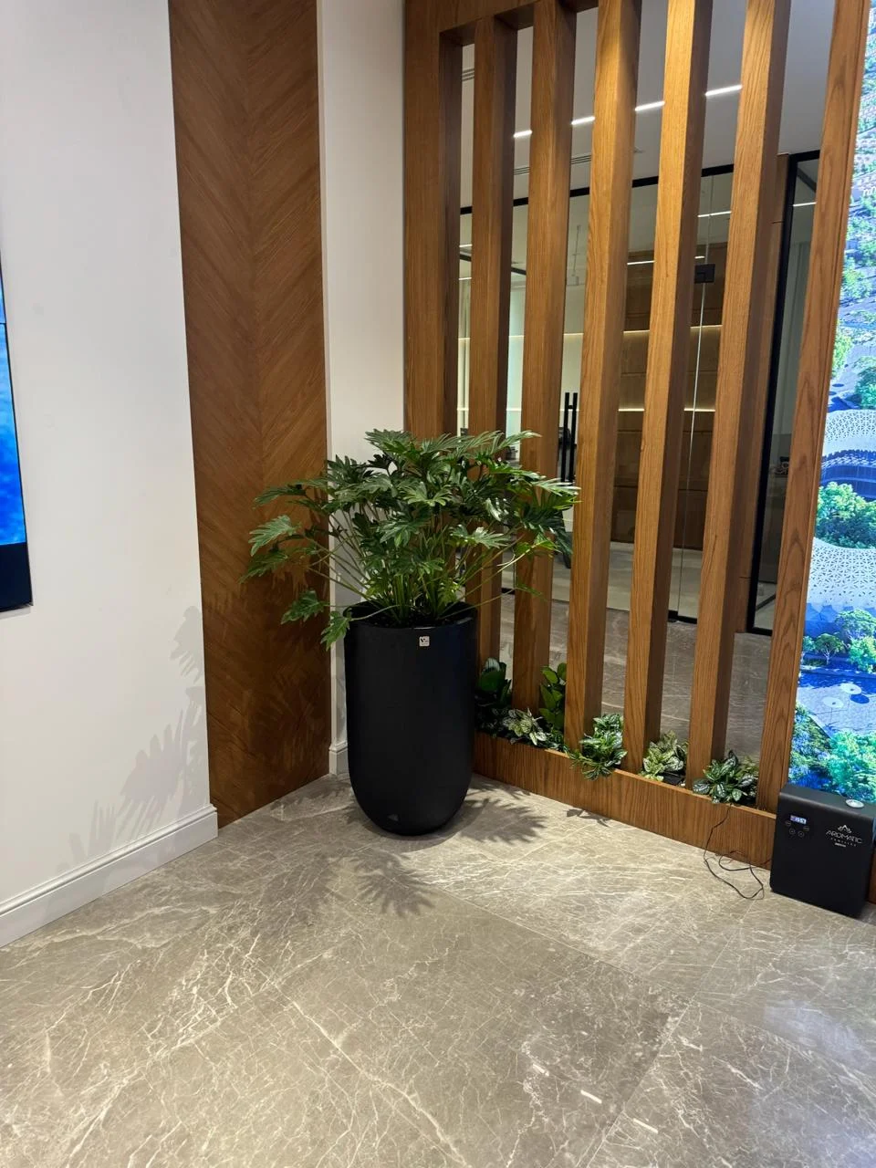 DE PLANTA — Project 34