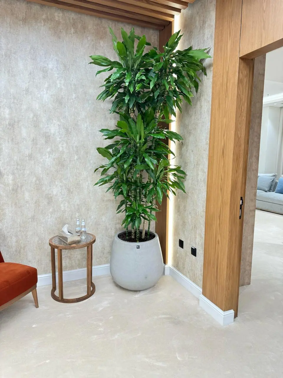 Plant styling sample 2