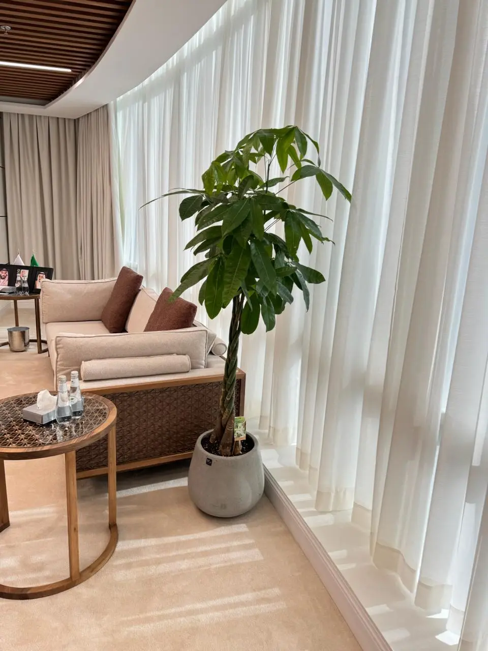 Plant styling sample 4